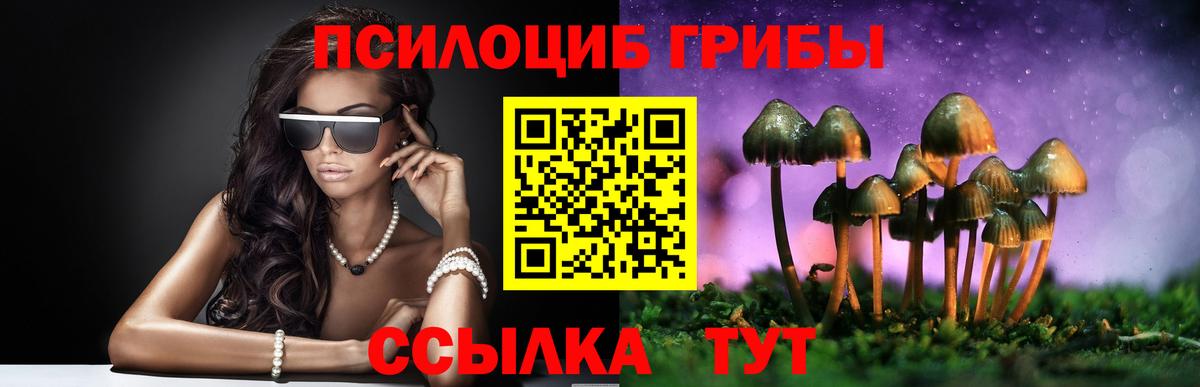 Псилоцибиновые грибы Psilocybe Советский